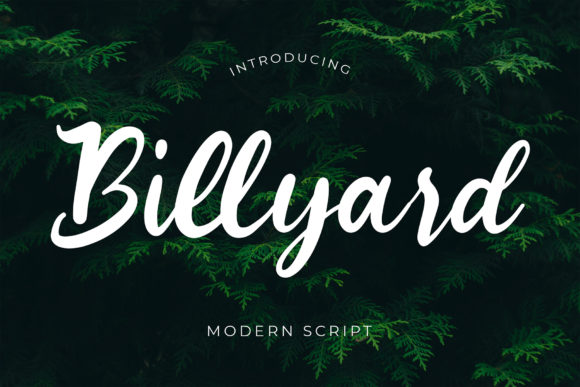 Choosing Billyard for a Bold Campaign Launch