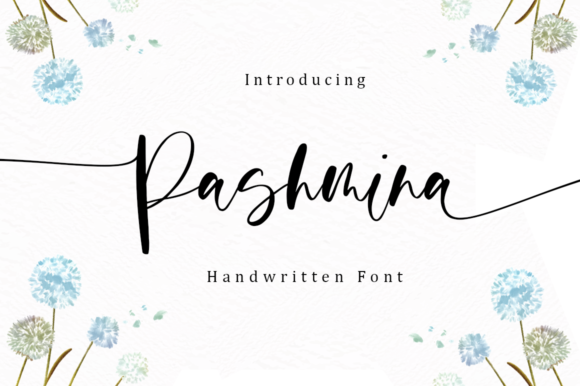 Discover the Timeless Elegance of Pashmina Font