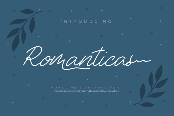 How Romanticas Elevates Campaign Design with a Touch of Elegance