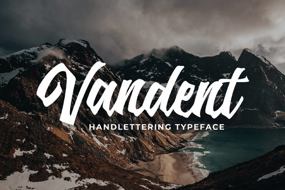 How Vandent Transformed My Brand’s Visual Identity