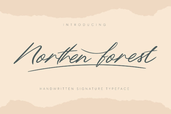 Northern Forest Script Font Review