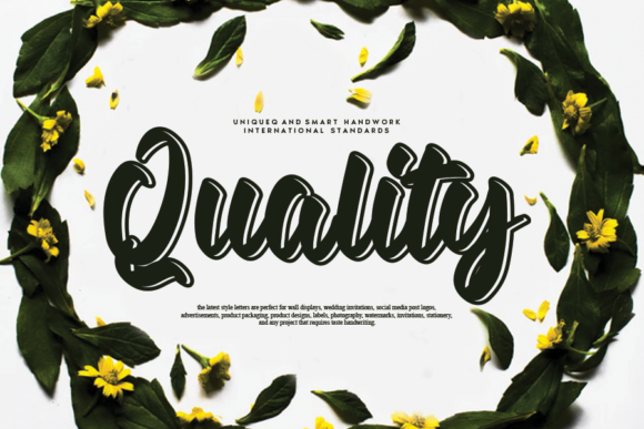 Quality Font for Web Design and Branding