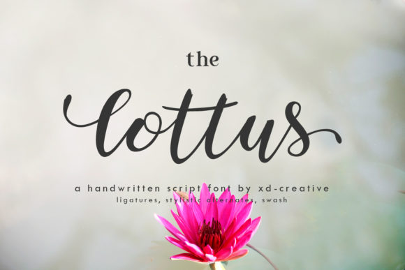 The Lottus: A Handwritten Font for Modern Web Design